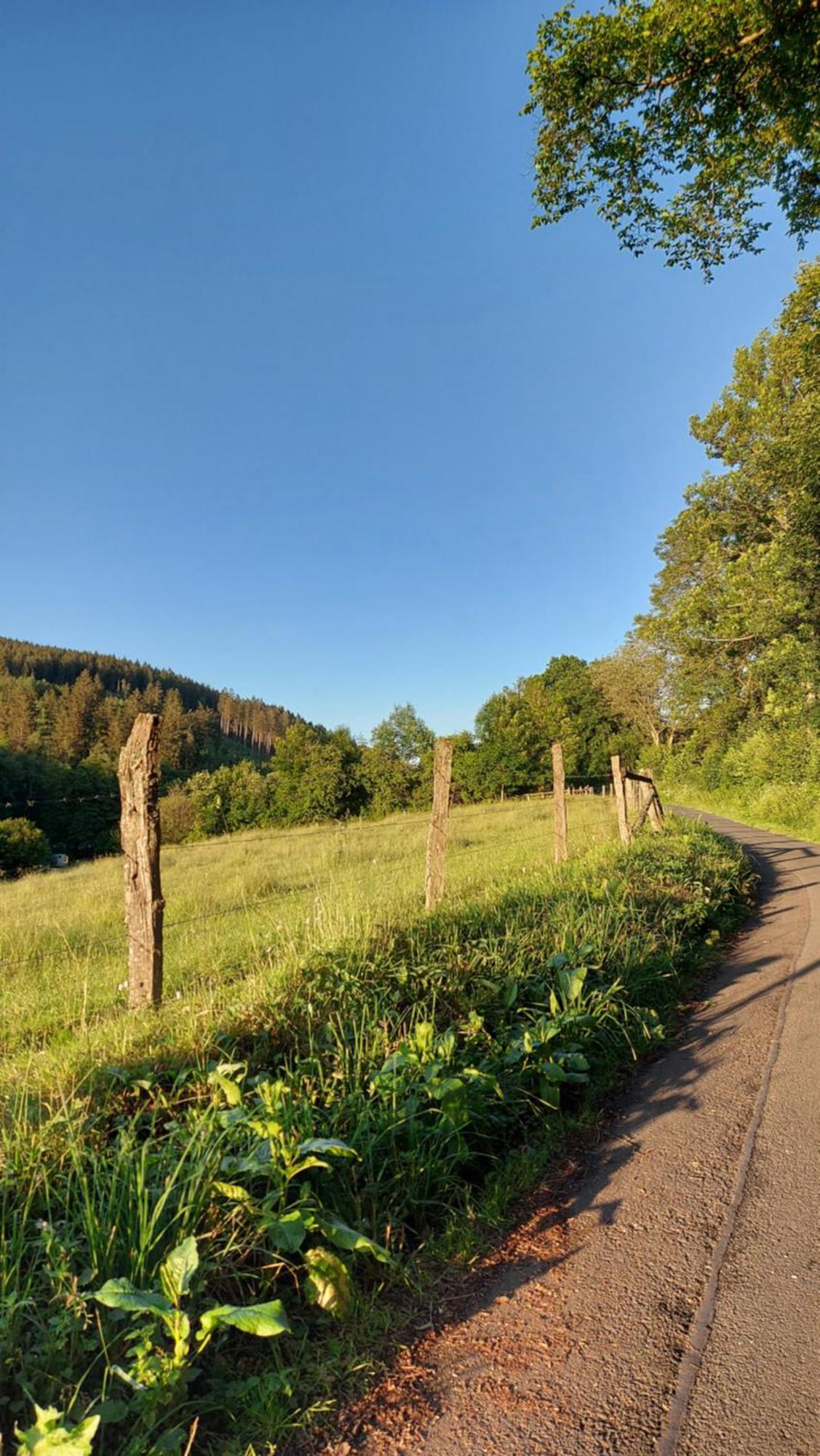 Maries Bunte Villa Bad Berleburg Kültér fotó